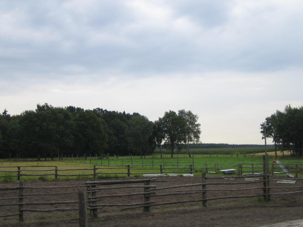 Ferienhof Drewes Ranch Витцендорф Экстерьер фото